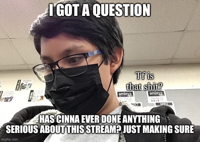 like prevented something serious happening | I GOT A QUESTION; HAS CINNA EVER DONE ANYTHING SERIOUS ABOUT THIS STREAM? JUST MAKING SURE | image tagged in tf is that shit | made w/ Imgflip meme maker