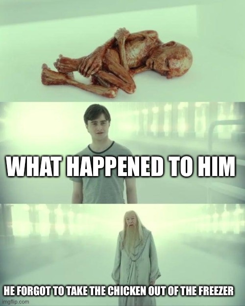 Dead Baby Voldemort / What Happened To Him | WHAT HAPPENED TO HIM; HE FORGOT TO TAKE THE CHICKEN OUT OF THE FREEZER | image tagged in dead baby voldemort / what happened to him | made w/ Imgflip meme maker