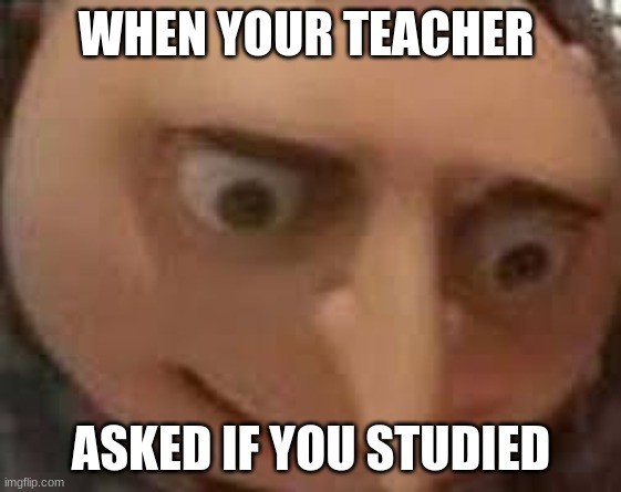 all teachers | WHEN YOUR TEACHER; ASKED IF YOU STUDIED | image tagged in gru face | made w/ Imgflip meme maker