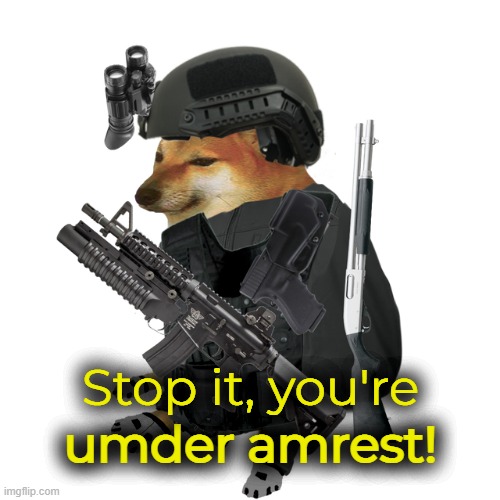 stfu neincraft lover | image tagged in you're under arrest | made w/ Imgflip meme maker