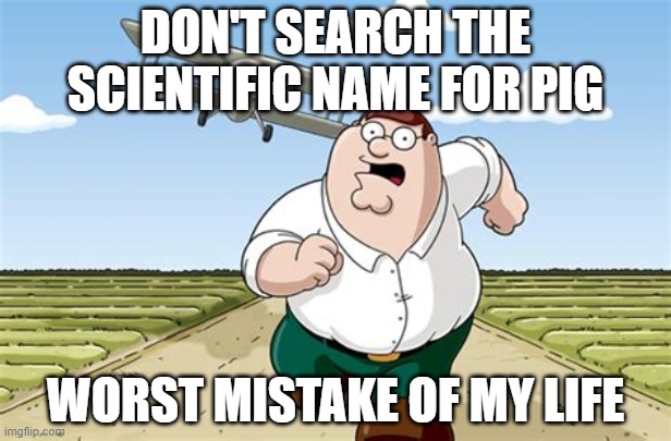 Hope no one says I'm repost | DON'T SEARCH THE SCIENTIFIC NAME FOR PIG; WORST MISTAKE OF MY LIFE | image tagged in worst mistake of my life,never,gonna,give,you,up | made w/ Imgflip meme maker