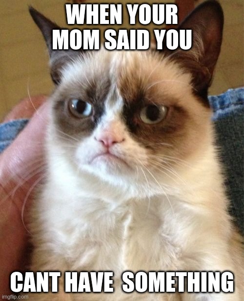 Grumpy Cat | WHEN YOUR MOM SAID YOU; CANT HAVE  SOMETHING | image tagged in memes,grumpy cat | made w/ Imgflip meme maker