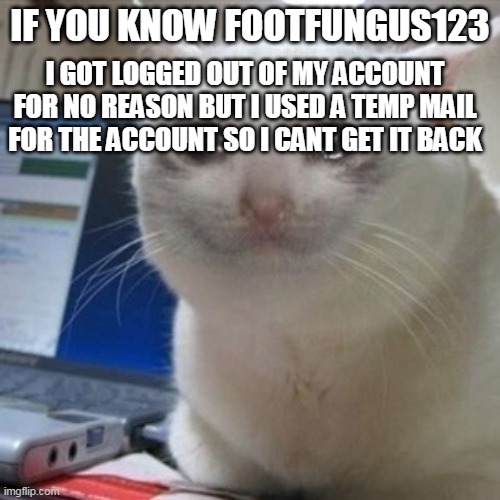 Crying cat | I GOT LOGGED OUT OF MY ACCOUNT FOR NO REASON BUT I USED A TEMP MAIL FOR THE ACCOUNT SO I CANT GET IT BACK; IF YOU KNOW FOOTFUNGUS123 | image tagged in logged out,sad | made w/ Imgflip meme maker