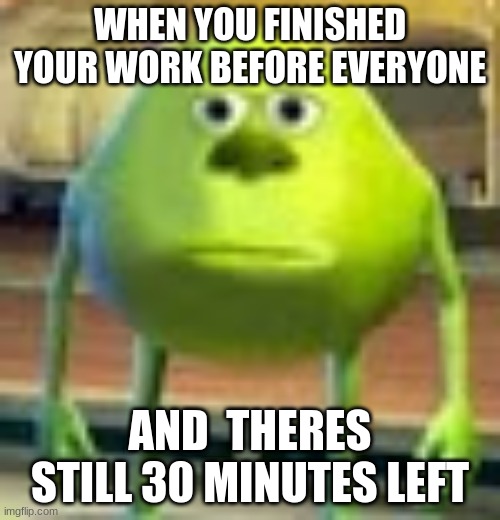 more time |  WHEN YOU FINISHED YOUR WORK BEFORE EVERYONE; AND  THERES STILL 30 MINUTES LEFT | image tagged in sully wazowski | made w/ Imgflip meme maker