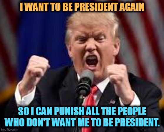 Trump angry punch | I WANT TO BE PRESIDENT AGAIN; SO I CAN PUNISH ALL THE PEOPLE WHO DON'T WANT ME TO BE PRESIDENT. | image tagged in trump angry punch,trump,angry,revenge,empty | made w/ Imgflip meme maker