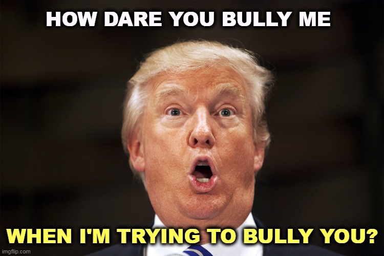 Surprised Trump | HOW DARE YOU BULLY ME; WHEN I'M TRYING TO BULLY YOU? | image tagged in surprised trump,trump,bullying | made w/ Imgflip meme maker