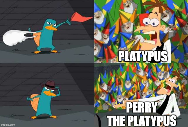 platypus | PLATYPUS; PERRY THE PLATYPUS | image tagged in an ordinary platypus,phineas and ferb | made w/ Imgflip meme maker