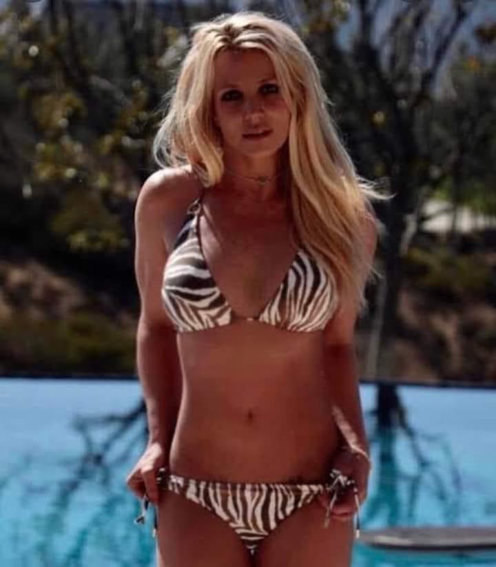 High Quality Britney Spears bikini Blank Meme Template