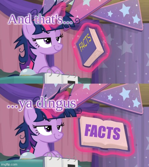 Twilight's Fact Book (Remastered) | And that's... FACTS ...ya dingus | image tagged in twilight's fact book remastered | made w/ Imgflip meme maker
