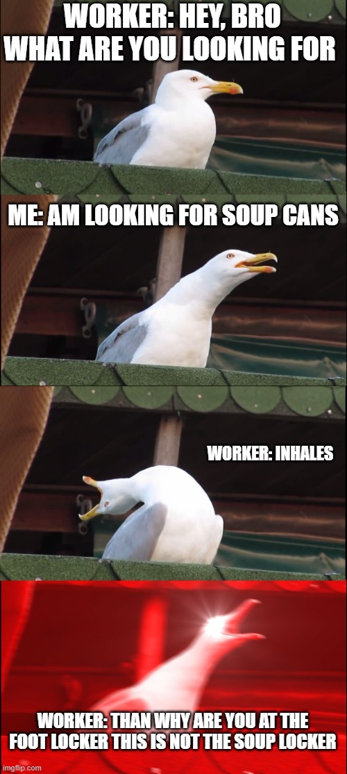 Dumb people be like |  WORKER: HEY, BRO WHAT ARE YOU LOOKING FOR; ME: AM LOOKING FOR SOUP CANS; WORKER: INHALES; WORKER: THAN WHY ARE YOU AT THE FOOT LOCKER THIS IS NOT THE SOUP LOCKER | image tagged in memes,inhaling seagull,dumb people | made w/ Imgflip meme maker