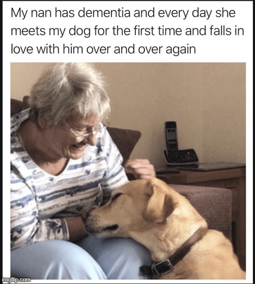 :> | made w/ Imgflip meme maker