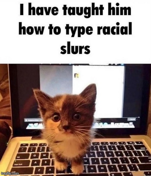 Kitty | made w/ Imgflip meme maker