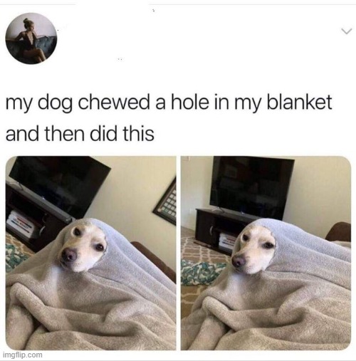 :3 | made w/ Imgflip meme maker