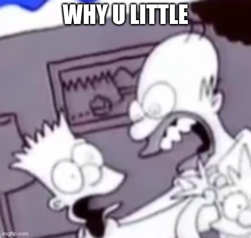 Why You Little | WHY U LITTLE | image tagged in why you little | made w/ Imgflip meme maker