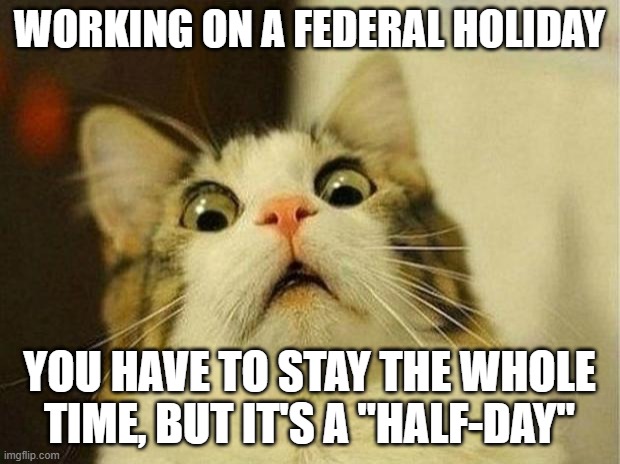 Scared Cat | WORKING ON A FEDERAL HOLIDAY; YOU HAVE TO STAY THE WHOLE TIME, BUT IT'S A "HALF-DAY" | image tagged in memes,scared cat,holidays,work | made w/ Imgflip meme maker