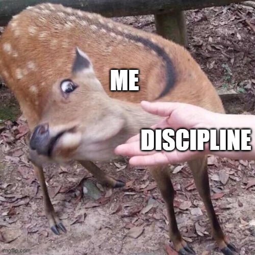 nope | DISCIPLINE ME | image tagged in nope | made w/ Imgflip meme maker