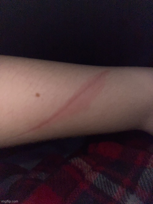 WHERE THE HELL DID THIS SCRATCH COME FROM- | made w/ Imgflip meme maker