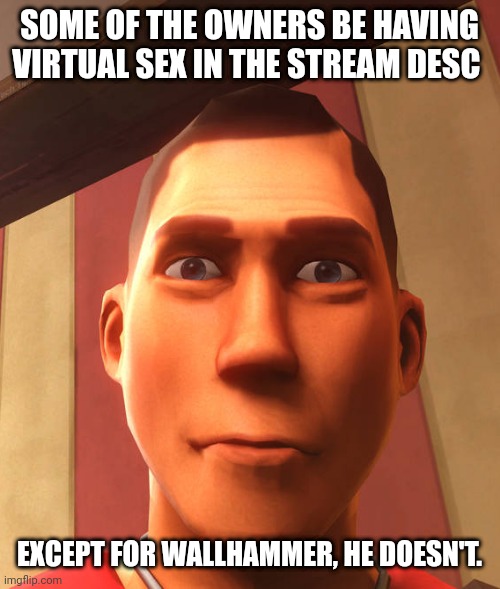 s | SOME OF THE OWNERS BE HAVING VIRTUAL SEX IN THE STREAM DESC; EXCEPT FOR WALLHAMMER, HE DOESN'T. | image tagged in s | made w/ Imgflip meme maker