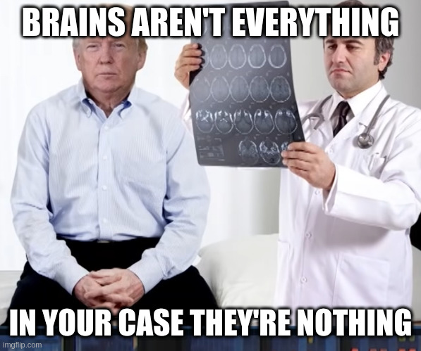 diagnoses | BRAINS AREN'T EVERYTHING; IN YOUR CASE THEY'RE NOTHING | image tagged in diagnoses | made w/ Imgflip meme maker