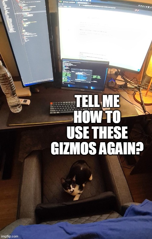 TELL ME HOW TO USE THESE GIZMOS AGAIN? | image tagged in meme,memes,humor,cat,cats | made w/ Imgflip meme maker