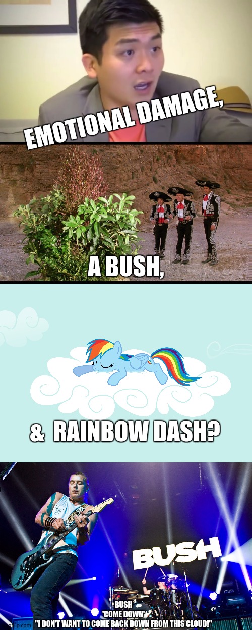 What do you get challenge... (send me three random topics and i will find a relation between them. Change my mind!) | EMOTIONAL DAMAGE, A BUSH, &  RAINBOW DASH? BUSH

'COME DOWN'
"I DON'T WANT TO COME BACK DOWN FROM THIS CLOUD!" | image tagged in emotional damage,the three amigos singing bush,rainbow dash sleeping | made w/ Imgflip meme maker