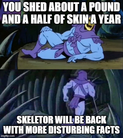 Skeletor disturbing facts | YOU SHED ABOUT A POUND AND A HALF OF SKIN A YEAR; SKELETOR WILL BE BACK WITH MORE DISTURBING FACTS | image tagged in skeletor disturbing facts | made w/ Imgflip meme maker