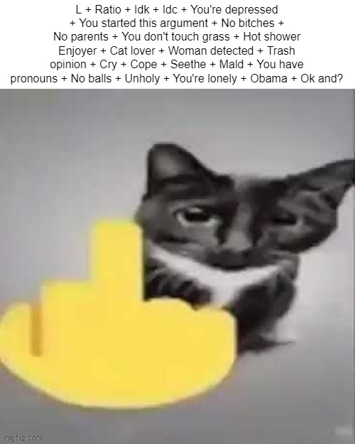 L + Ratio + Idk + Idc + You're depressed + You started this argument + No bitches + No parents + You don't touch grass + Hot shower Enjoyer + Cat lover + Woman detected + Trash opinion + Cry + Cope + Seethe + Mald + You have pronouns + No balls + Unholy + You're lonely + Obama + Ok and? | made w/ Imgflip meme maker