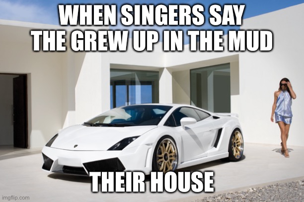 nice car/ house | WHEN SINGERS SAY THE GREW UP IN THE MUD; THEIR HOUSE | image tagged in nice car/ house | made w/ Imgflip meme maker