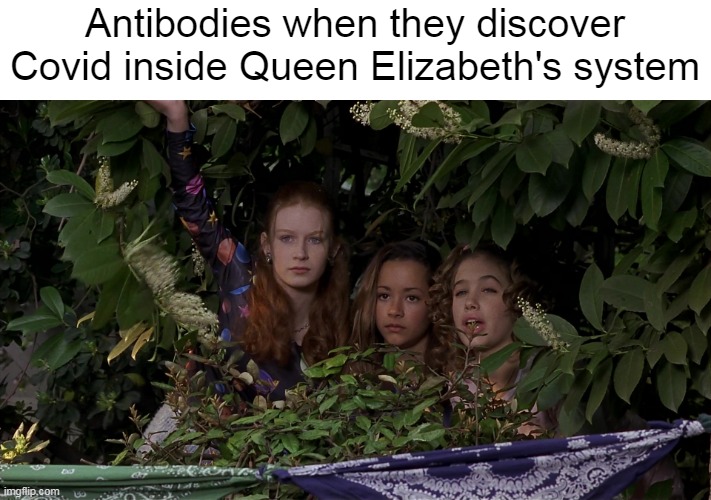 Time for Action! | Antibodies when they discover Covid inside Queen Elizabeth's system | image tagged in meme,memes,humor,covid,coronavirus,queen elizabeth | made w/ Imgflip meme maker