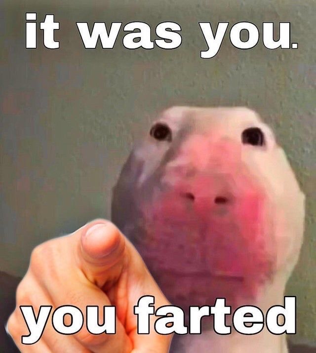 It was you. you farted Blank Meme Template