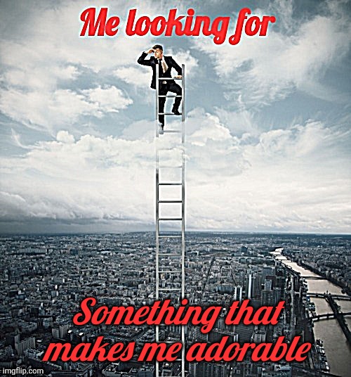 Searching | Something that makes me adorable | image tagged in searching | made w/ Imgflip meme maker