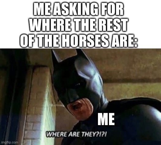 ME ASKING FOR WHERE THE REST OF THE HORSES ARE: ME | image tagged in batman where are they 12345 | made w/ Imgflip meme maker