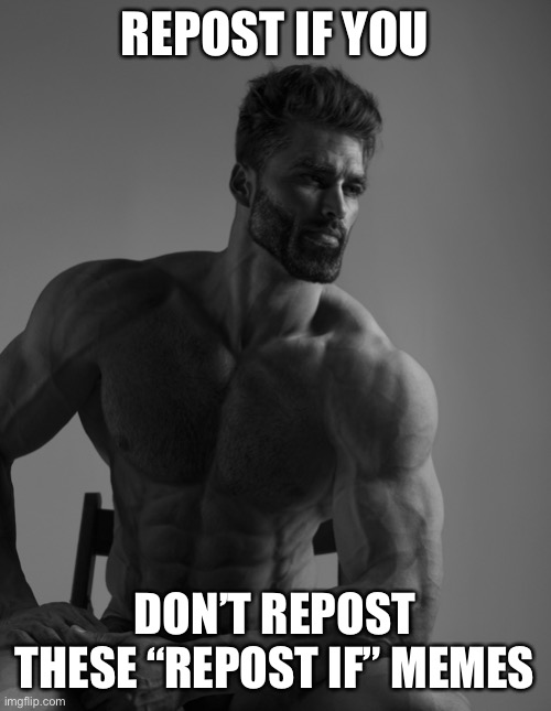 Giga Chad | REPOST IF YOU; DON’T REPOST THESE “REPOST IF” MEMES | image tagged in giga chad | made w/ Imgflip meme maker