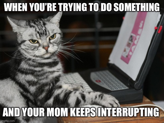 Interrupting | WHEN YOU’RE TRYING TO DO SOMETHING; AND YOUR MOM KEEPS INTERRUPTING | image tagged in annoyed designer cat | made w/ Imgflip meme maker