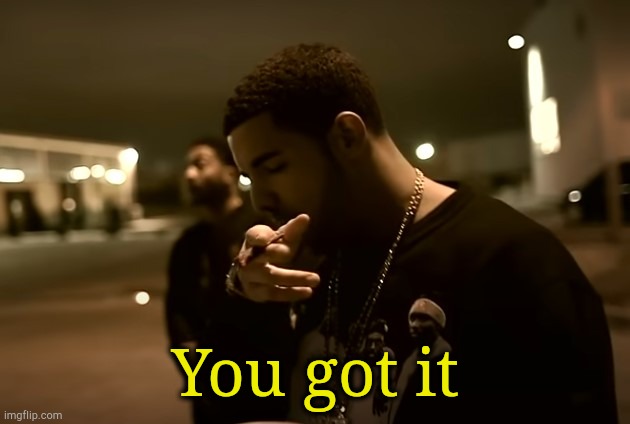 Drizzy got it | You got it | image tagged in drizzy got it | made w/ Imgflip meme maker