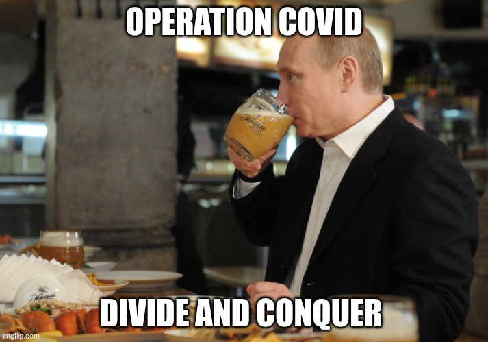 WAR GAMES | OPERATION COVID; DIVIDE AND CONQUER | image tagged in putin but that's none of my business | made w/ Imgflip meme maker