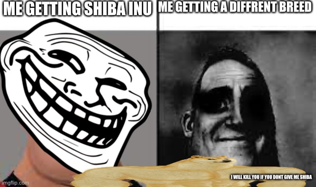 Shiba vs no shiba | ME GETTING SHIBA INU; ME GETTING A DIFFRENT BREED; I WILL KILL YOU IF YOU DONT GIVE ME SHIBA | image tagged in funny | made w/ Imgflip meme maker