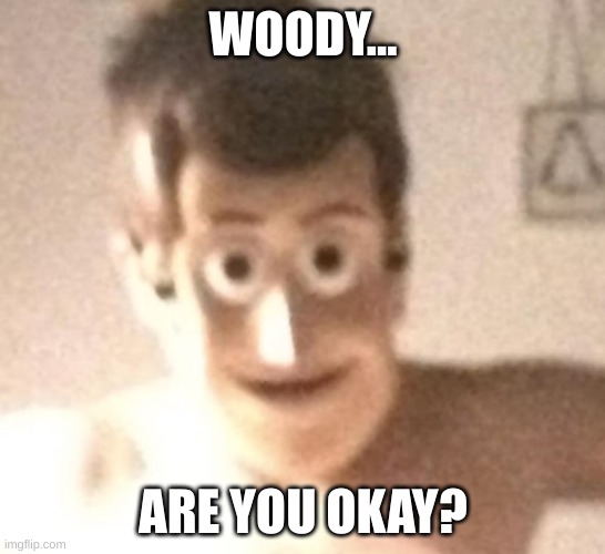 i think something's wrong with woody... | WOODY... ARE YOU OKAY? | image tagged in toy story,woody | made w/ Imgflip meme maker