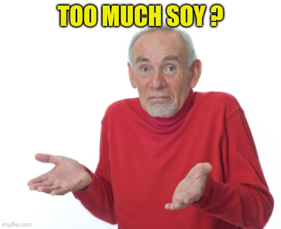 Guess I'll die  | TOO MUCH SOY ? | image tagged in guess i'll die | made w/ Imgflip meme maker