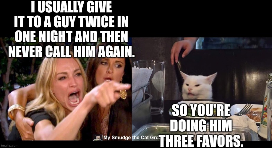 I USUALLY GIVE IT TO A GUY TWICE IN ONE NIGHT AND THEN NEVER CALL HIM AGAIN. SO YOU'RE DOING HIM THREE FAVORS. | image tagged in smudge the cat | made w/ Imgflip meme maker