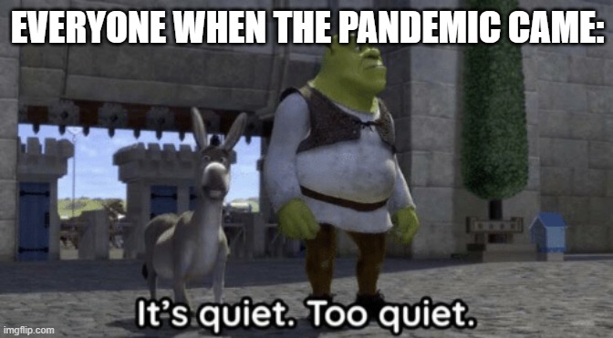 It’s quiet too quiet Shrek | EVERYONE WHEN THE PANDEMIC CAME: | image tagged in it s quiet too quiet shrek | made w/ Imgflip meme maker