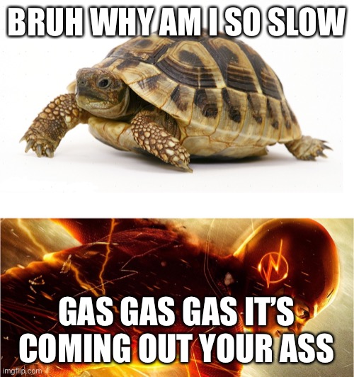 Slow vs Fast Meme | BRUH WHY AM I SO SLOW; GAS GAS GAS IT’S COMING OUT YOUR ASS | image tagged in slow vs fast meme | made w/ Imgflip meme maker