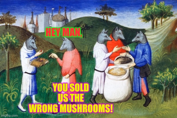 HEY MAN, YOU SOLD US THE WRONG MUSHROOMS! | made w/ Imgflip meme maker