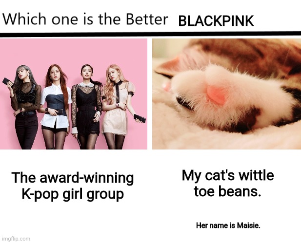 Which one is the better blackpink | BLACKPINK; My cat's wittle
toe beans. The award-winning K-pop girl group; Her name is Maisie. | image tagged in which one is the better x,blackpink,kitty,toe beans,cute cat | made w/ Imgflip meme maker