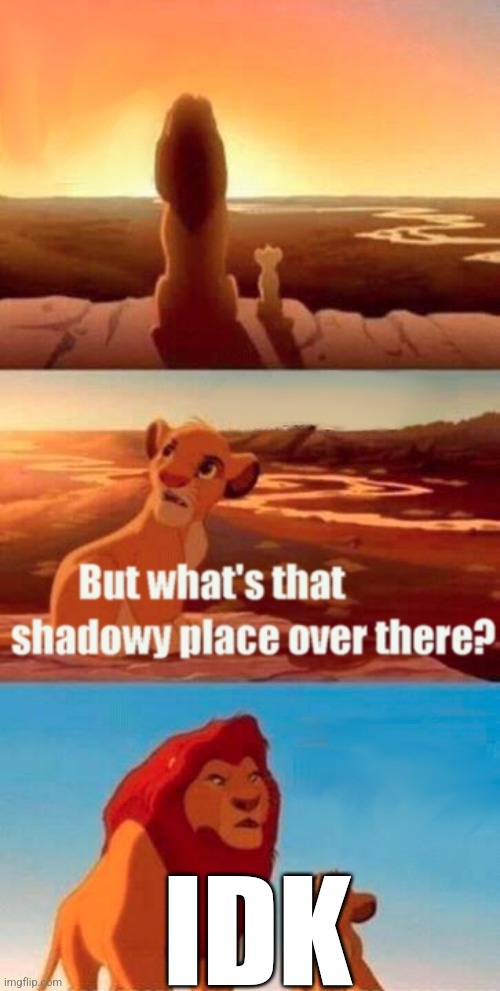 He doesn't know | IDK | image tagged in memes,simba shadowy place | made w/ Imgflip meme maker