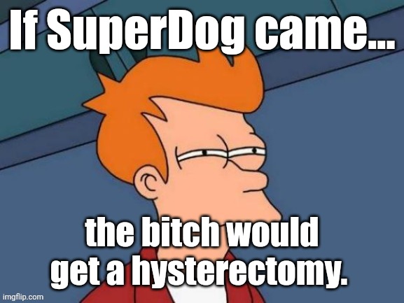 Fry is not sure... | If SuperDog came... the bitch would get a hysterectomy. | image tagged in fry is not sure | made w/ Imgflip meme maker