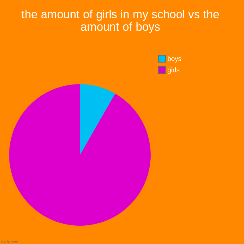 i have to manny girls in my school | the amount of girls in my school vs the amount of boys | girls, boys | image tagged in charts,pie charts | made w/ Imgflip chart maker