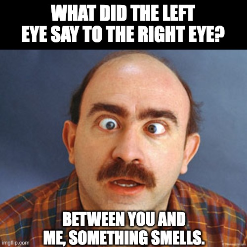 Crosseyed | WHAT DID THE LEFT EYE SAY TO THE RIGHT EYE? BETWEEN YOU AND ME, SOMETHING SMELLS. | image tagged in crosseyed | made w/ Imgflip meme maker