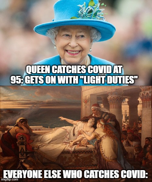 QUEEN CATCHES COVID AT 95: GETS ON WITH "LIGHT DUTIES" EVERYONE ELSE WHO CATCHES COVID: | made w/ Imgflip meme maker