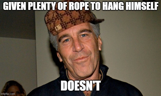He didn't | GIVEN PLENTY OF ROPE TO HANG HIMSELF; DOESN'T | image tagged in jeffrey epstein,epstein didn't kill himself | made w/ Imgflip meme maker